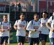 Antrenamentul echipei naționale înaintea meciului cu Slovacia de la Frankfurt. FOTO: Andrei Crăițoiu (GSP)