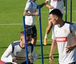 Antrenamentul echipei naționale înaintea meciului cu Slovacia de la Frankfurt. FOTO: Andrei Crăițoiu (GSP)