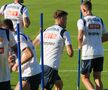 Antrenamentul echipei naționale înaintea meciului cu Slovacia de la Frankfurt. FOTO: Andrei Crăițoiu (GSP)