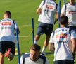 Antrenamentul echipei naționale înaintea meciului cu Slovacia de la Frankfurt. FOTO: Andrei Crăițoiu (GSP)