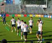 Antrenamentul echipei naționale înaintea meciului cu Slovacia de la Frankfurt. FOTO: Andrei Crăițoiu (GSP)