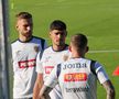 Antrenamentul echipei naționale înaintea meciului cu Slovacia de la Frankfurt. FOTO: Andrei Crăițoiu (GSP)