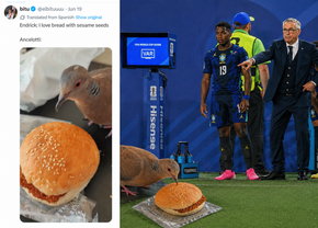 De ce au devenit meme-urile cu Endrick și Carlo Ancelotti senzația virală a acestui Campionat Mondial