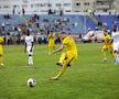 FC Botoșani - Petrolul / foto: Ionuț Tăbultoc