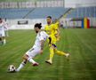 FC Botoșani - Petrolul / foto: Ionuț Tăbultoc