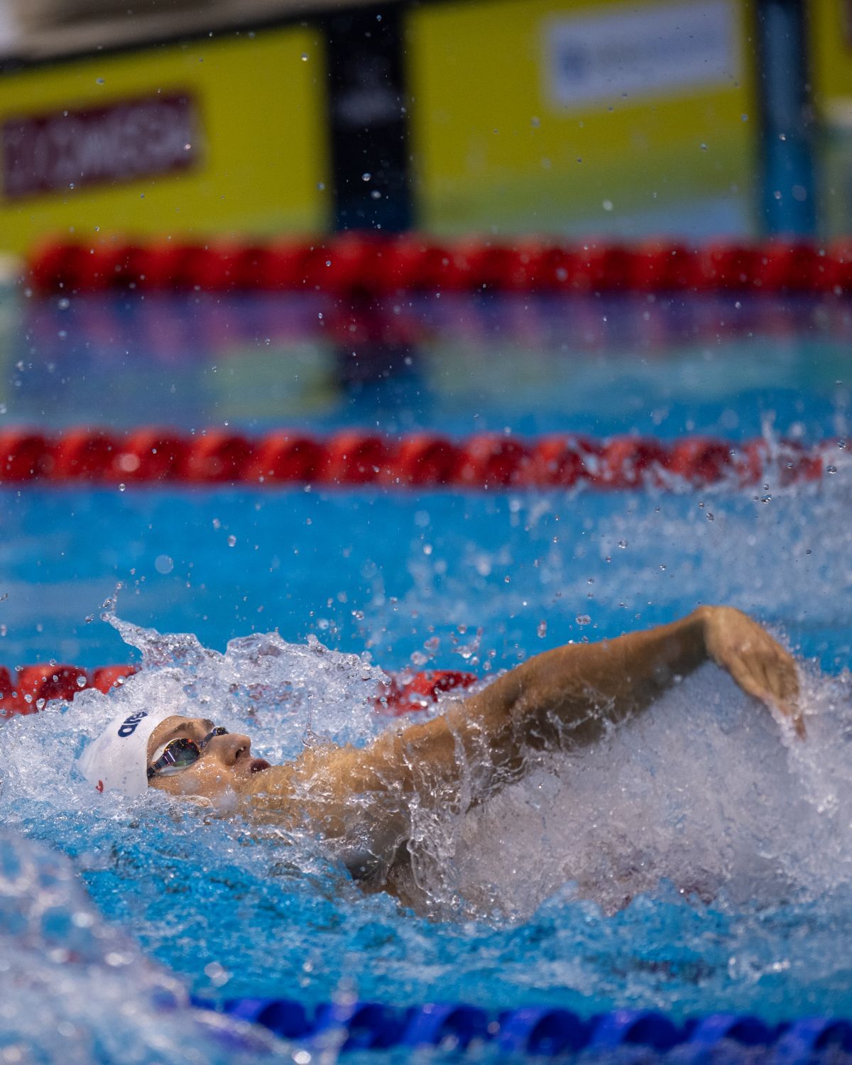 Andrei Anghel serii 100m spate