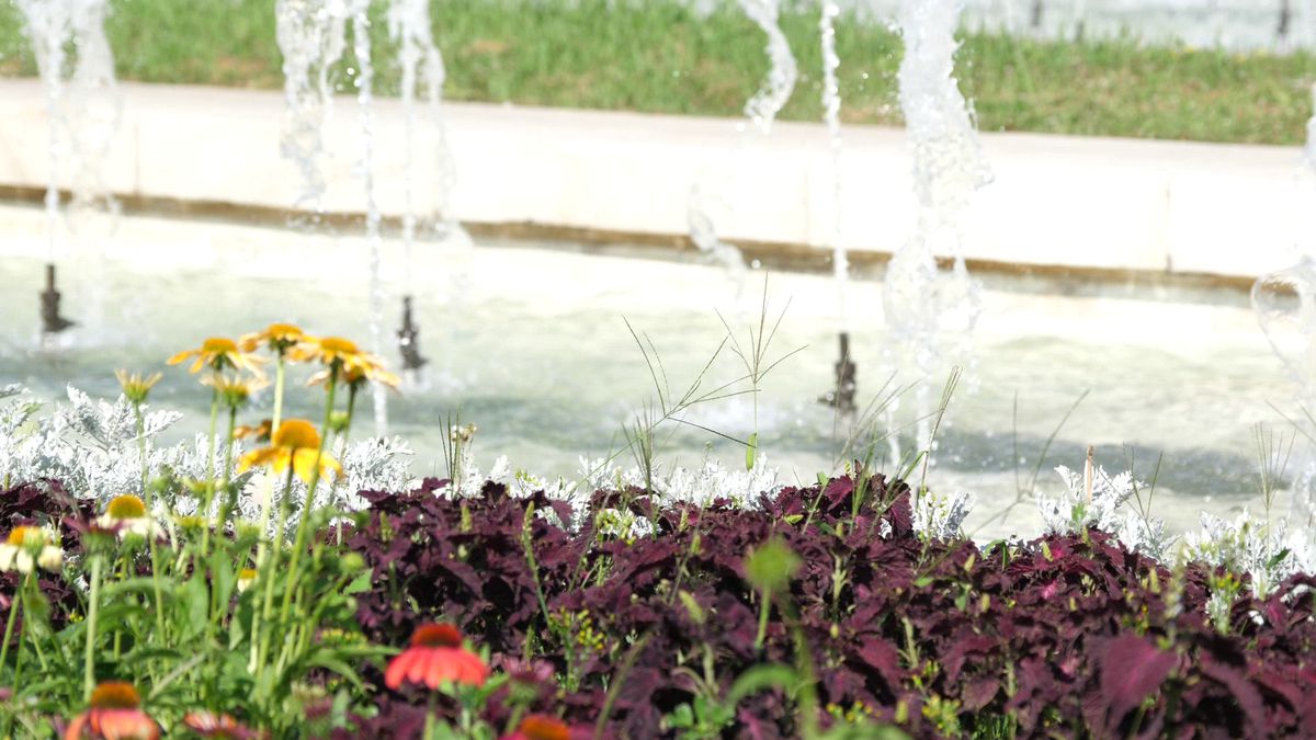 Imagini din Sofia înainte de CSKA 1948 - FCSB