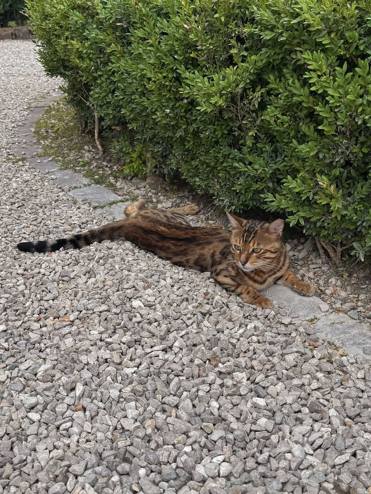 Nuntă Anika Bissel și Manuel Neuer