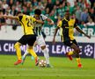 Young Boys, „călăul” CFR-ului, e în grupele Ligii! Ludogoreț, eliminată + final în PSV - Benfica