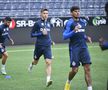 Antrenament FCSB + conferință Nicolae Dică