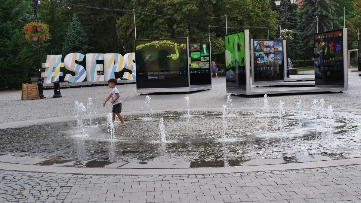 Sepsi - Bodo/Glimt, atmosferă
