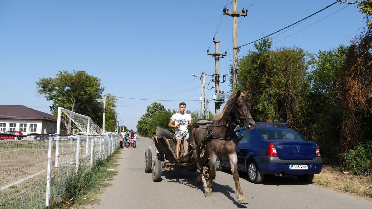 PSD plus PNL sperie găinile » Primarii de la sate își fac câte două, trei echipe pentru distracția lor și a votanților încântați că sparg semințe la teren