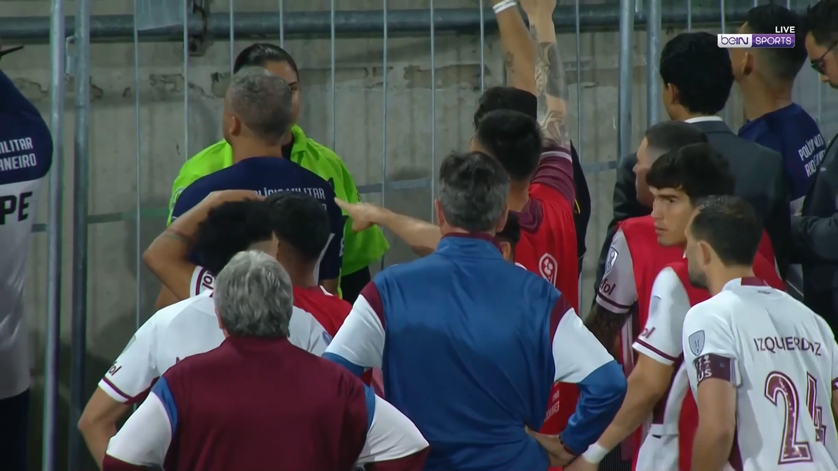 Scene înfiorătoare: bătaie generală în stadion! Suporteri căzuți, sufocați de gazele lacrimogene