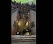 Scene înfiorătoare: bătaie generală în stadion! Suporteri căzuți, sufocați de gazele lacrimogene