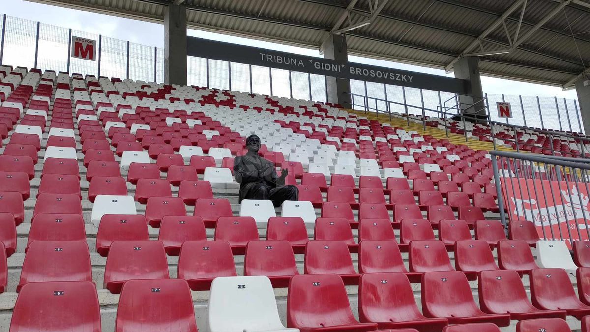 Înlocuire gazon arena Francisc Neuman - Arad