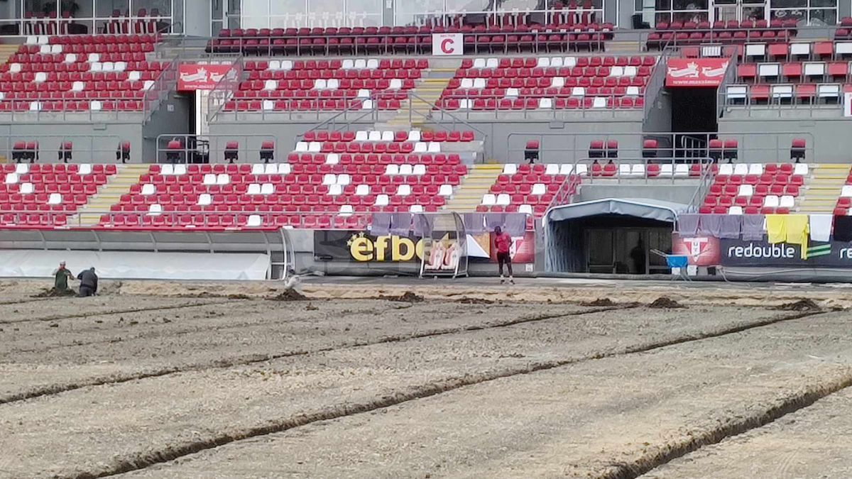 Înlocuire gazon arena Francisc Neuman - Arad