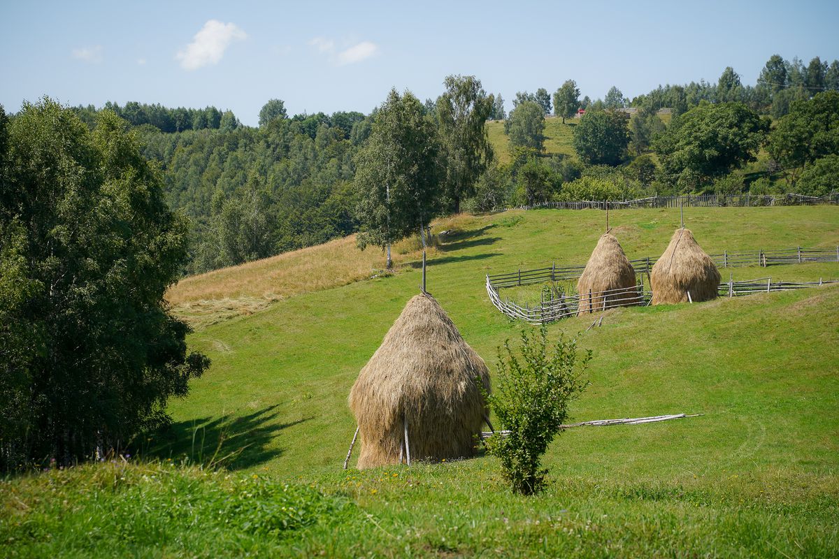 „Acest traseu mi-a schimbat percepția despre România” » Traseul Via Transilvanica poate fi explorat virtual pe Google Street View
