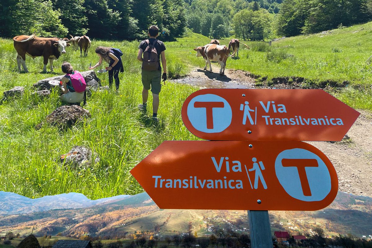 „Acest traseu mi-a schimbat percepția despre România” » Traseul Via Transilvanica poate fi explorat virtual pe Google Street View