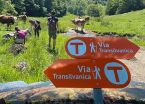 „Acest transeu mi-a schimbat percepția despre România” » Traseul Via Transilvanica poate fi explorat virtual pe Google Street View