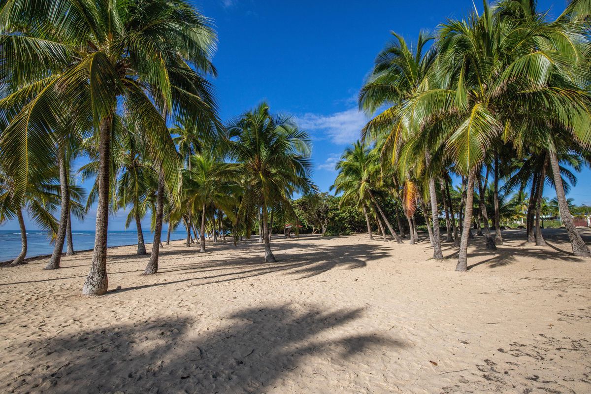 Guadelupa, paradis cu probleme în Caraibe