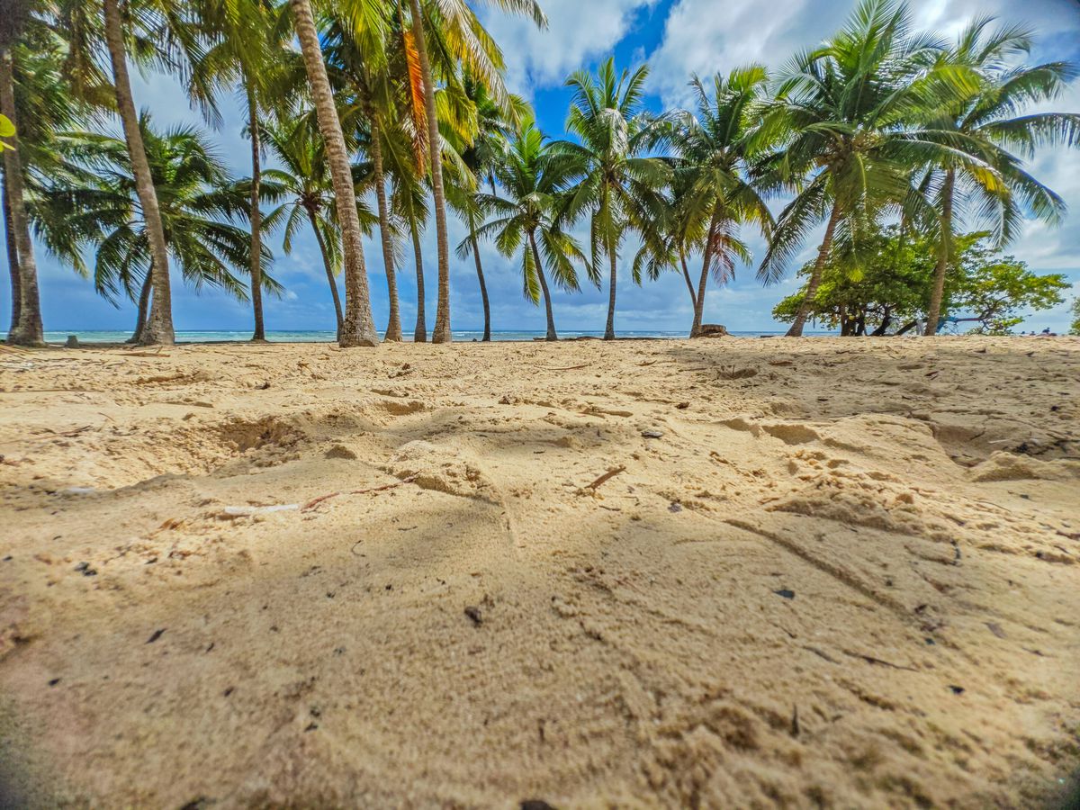 Guadelupa, paradis cu probleme în Caraibe