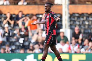 O vedetă din Bundesliga caută donator de sânge pentru pisica sa