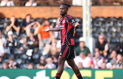 O vedetă din Bundesliga caută donator de sânge pentru pisica sa