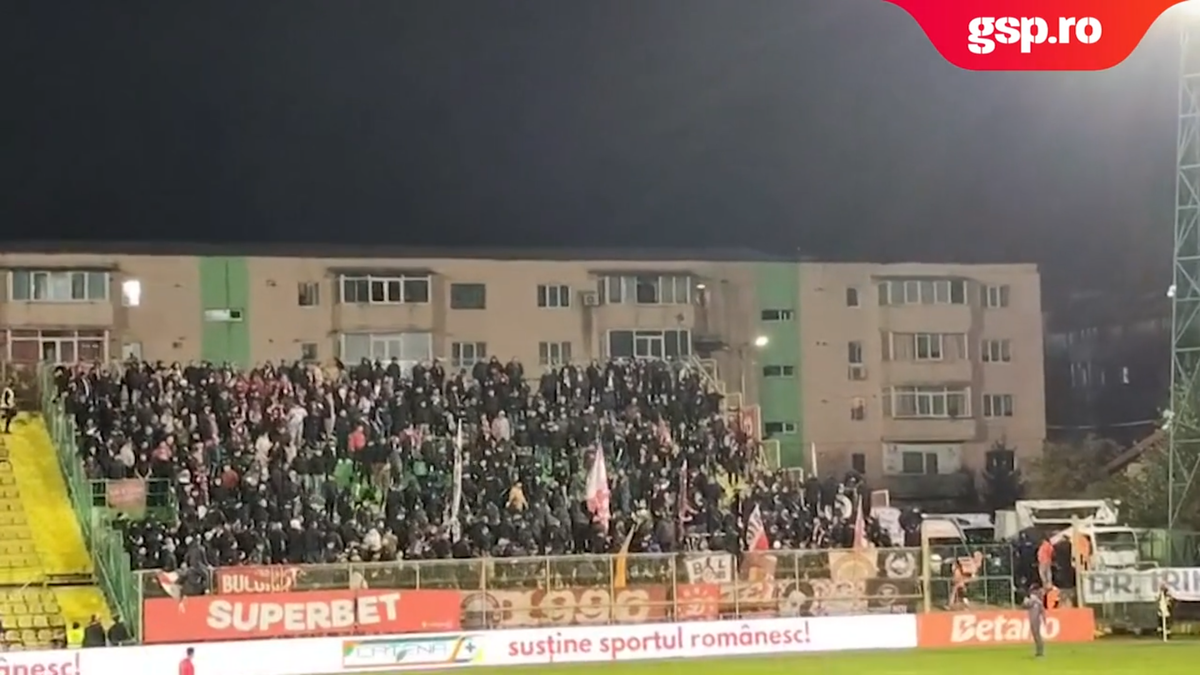 Bătaie între dinamoviști la Mioveni » De ce au intrat jandarmii în sectorul oaspeților