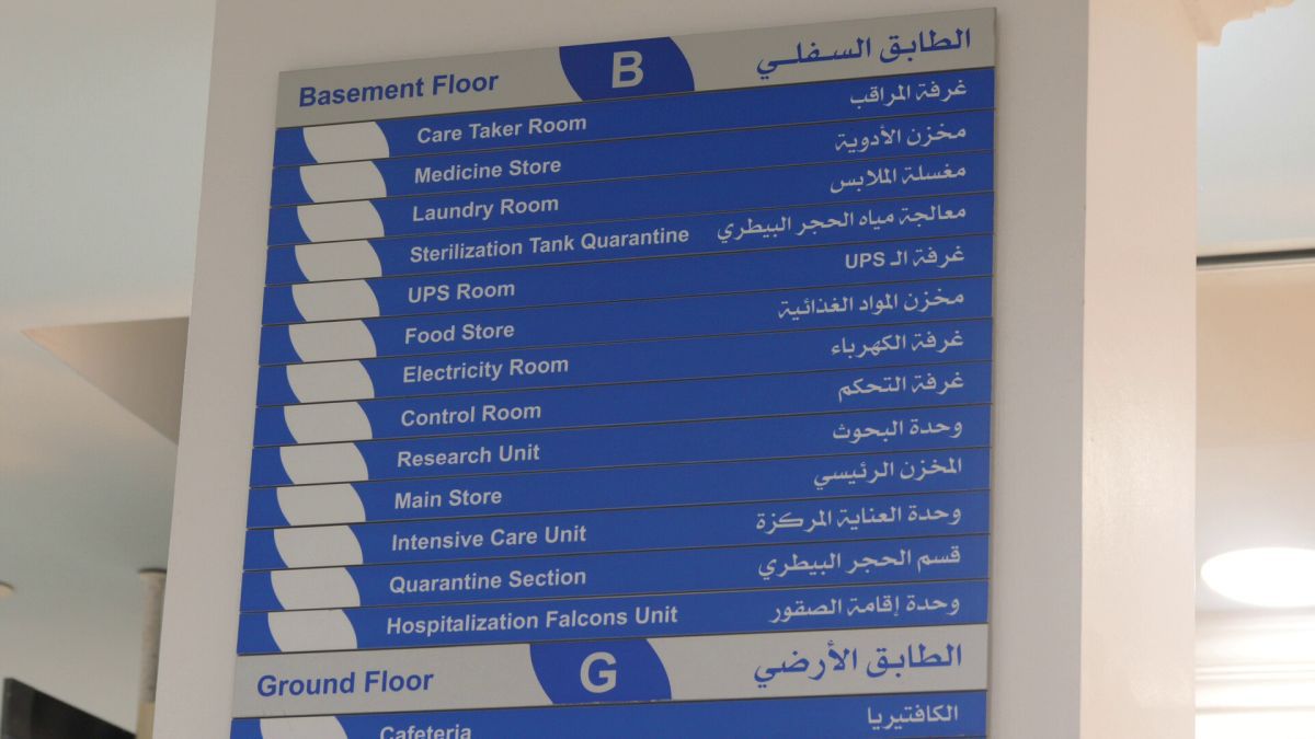 Spitalul de Șoimi din Doha arată mai bine decât Spitalele de oameni din România