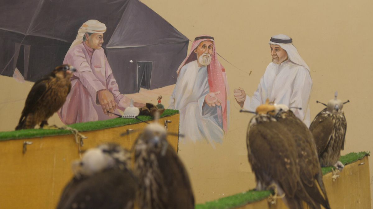 Spitalul de Șoimi din Doha arată mai bine decât spitalele de oameni din România! » Reportaj spectaculos de la trimișii speciali GSP la Mondial