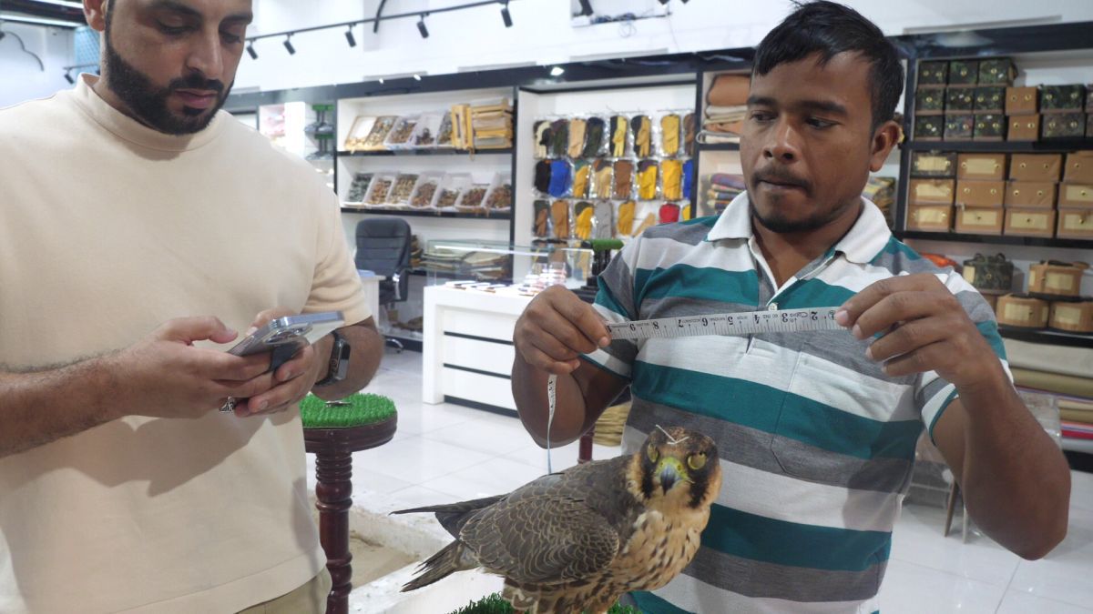 Spitalul de Șoimi din Doha arată mai bine decât spitalele de oameni din România! » Reportaj spectaculos de la trimișii speciali GSP la Mondial