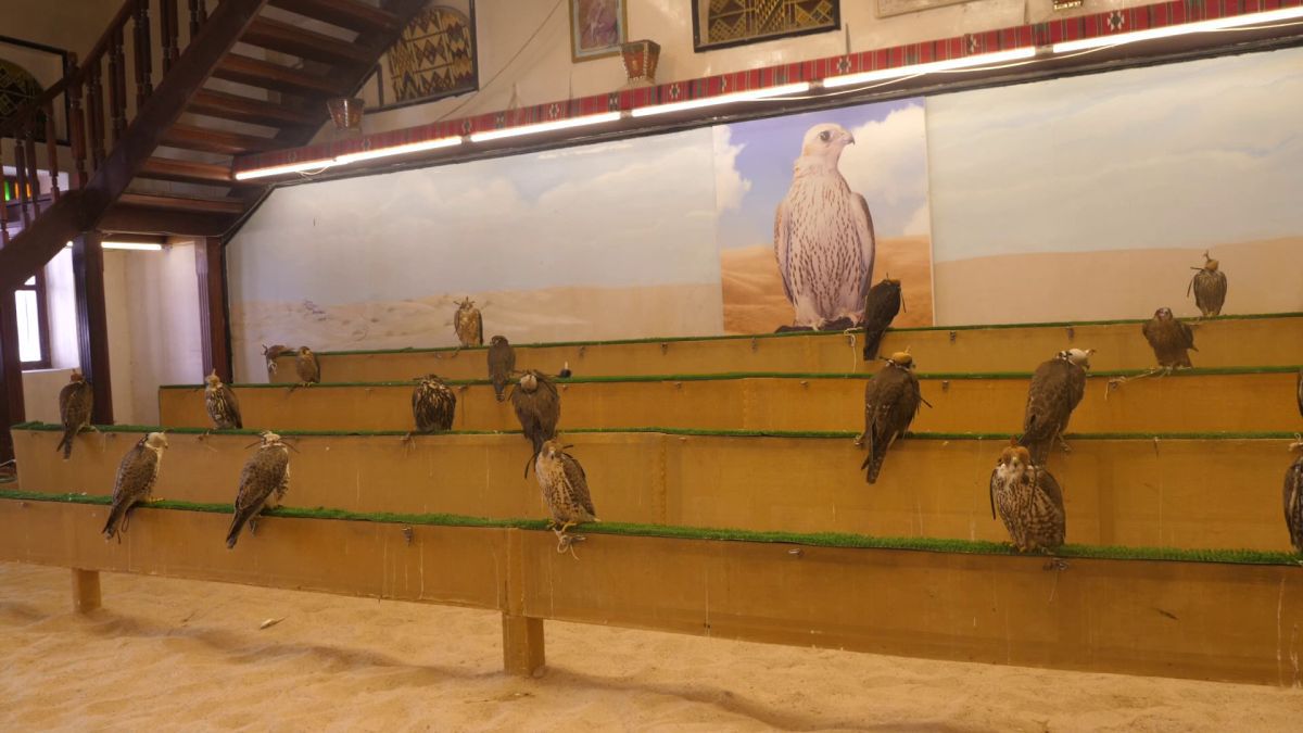 Spitalul de Șoimi din Doha arată mai bine decât spitalele de oameni din România! » Reportaj spectaculos de la trimișii speciali GSP la Mondial