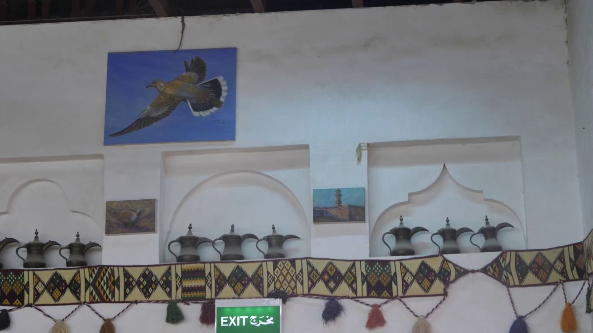 Spitalul de Șoimi din Doha arată mai bine decât spitalele de oameni din România! » Reportaj spectaculos de la trimișii speciali GSP la Mondial