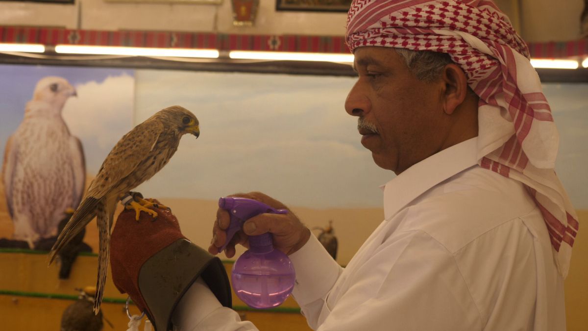 Spitalul de Șoimi din Doha arată mai bine decât spitalele de oameni din România! » Reportaj spectaculos de la trimișii speciali GSP la Mondial