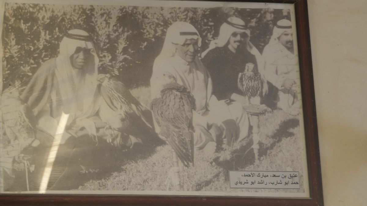 Spitalul de Șoimi din Doha arată mai bine decât spitalele de oameni din România! » Reportaj spectaculos de la trimișii speciali GSP la Mondial