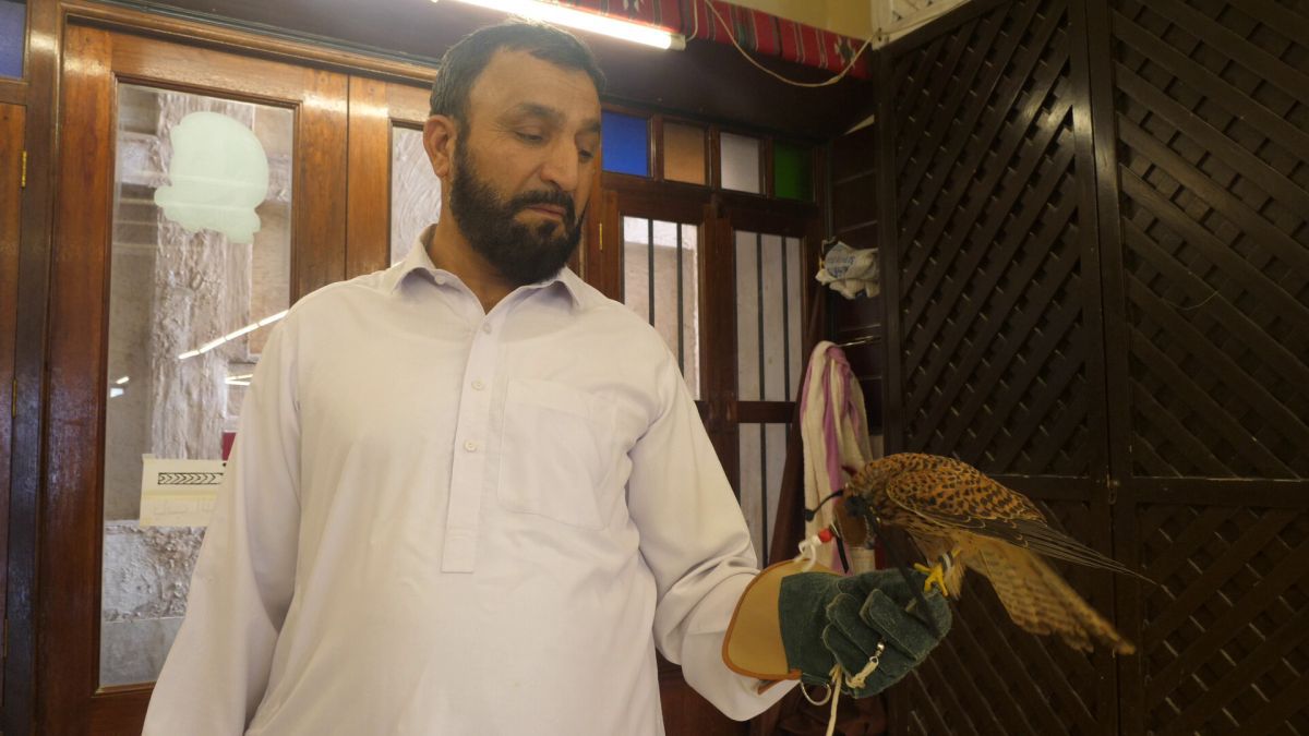 Spitalul de Șoimi din Doha arată mai bine decât spitalele de oameni din România! » Reportaj spectaculos de la trimișii speciali GSP la Mondial