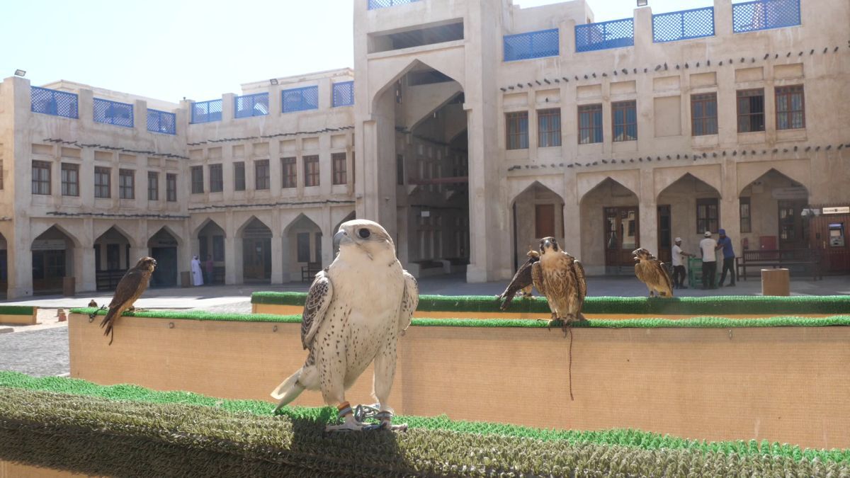 Spitalul de Șoimi din Doha arată mai bine decât spitalele de oameni din România! » Reportaj spectaculos de la trimișii speciali GSP la Mondial