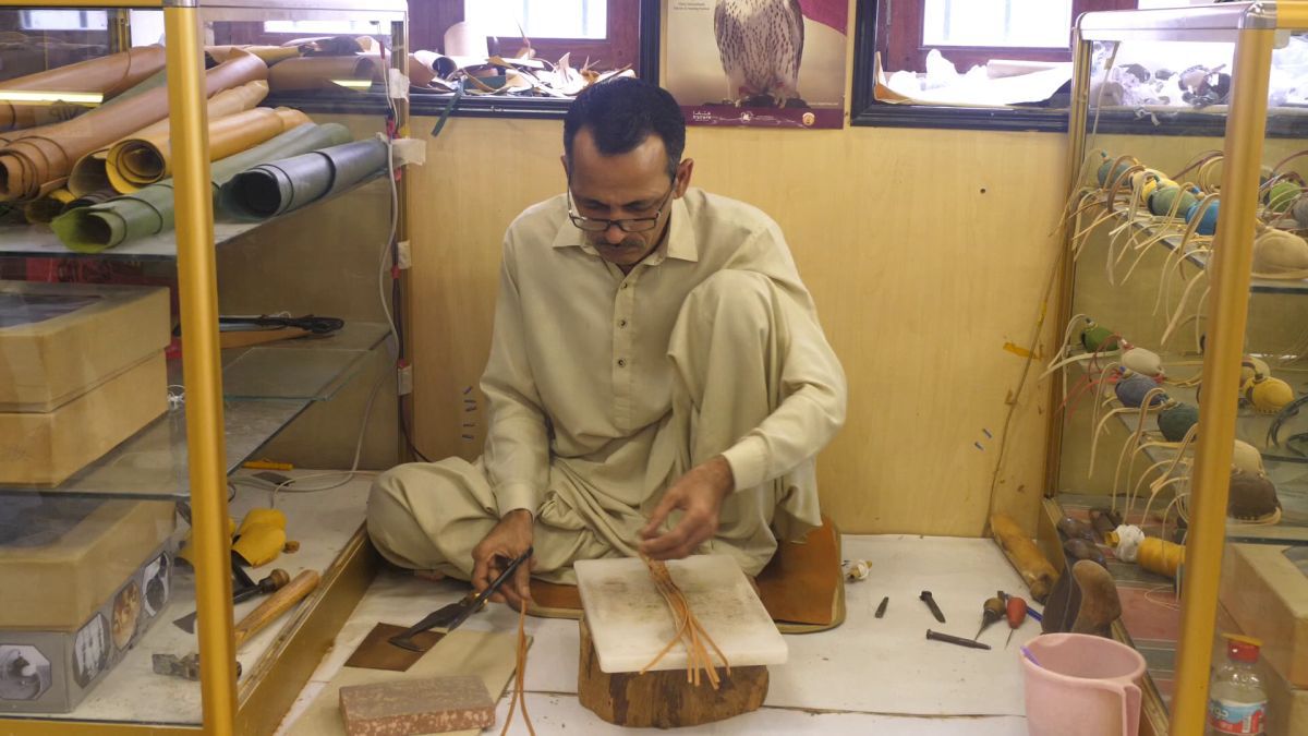 Spitalul de Șoimi din Doha arată mai bine decât spitalele de oameni din România! » Reportaj spectaculos de la trimișii speciali GSP la Mondial