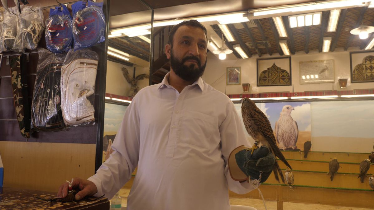 Spitalul de Șoimi din Doha arată mai bine decât spitalele de oameni din România! » Reportaj spectaculos de la trimișii speciali GSP la Mondial