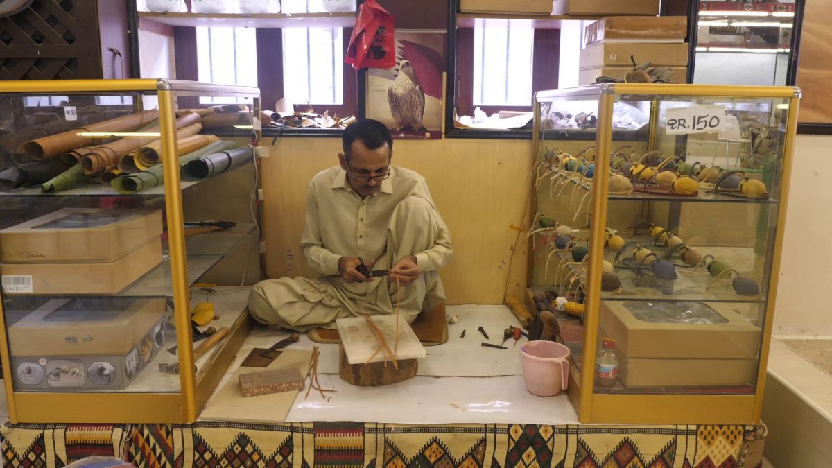 Spitalul de Șoimi din Doha arată mai bine decât spitalele de oameni din România! » Reportaj spectaculos de la trimișii speciali GSP la Mondial