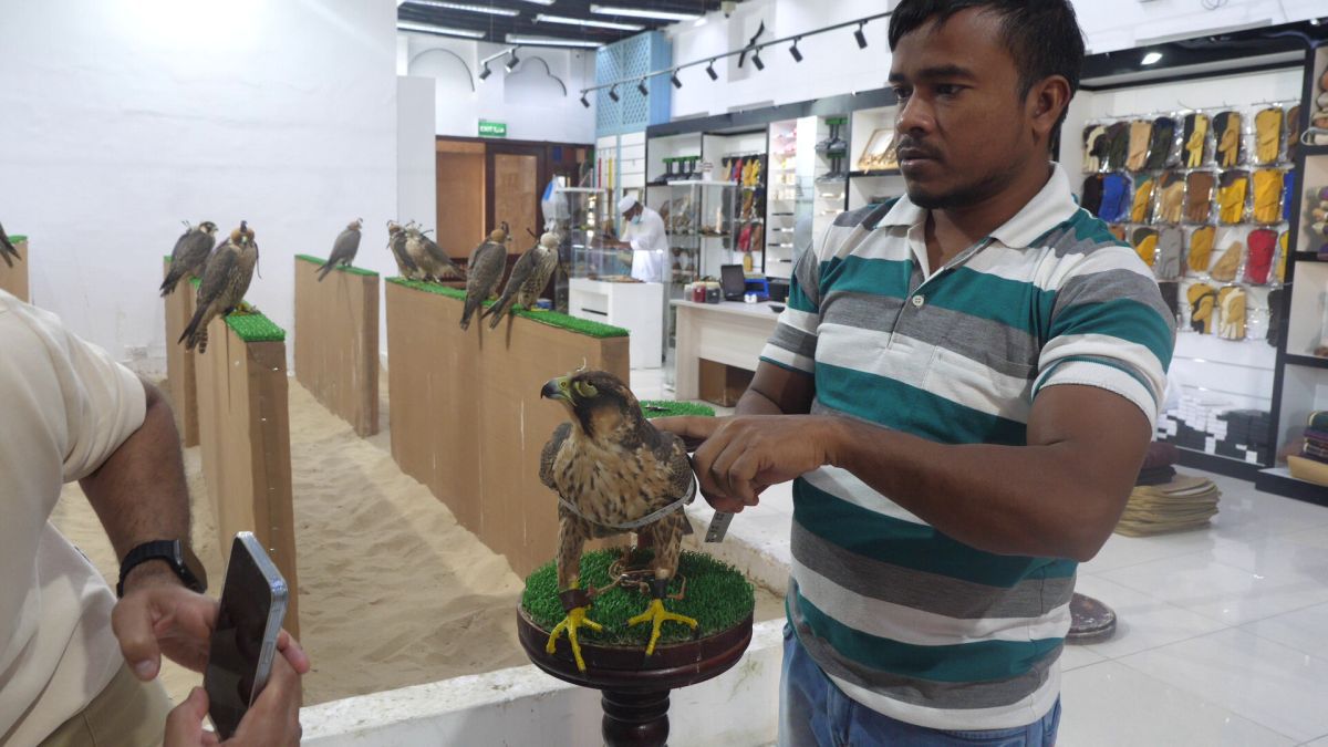 Spitalul de Șoimi din Doha arată mai bine decât spitalele de oameni din România! » Reportaj spectaculos de la trimișii speciali GSP la Mondial