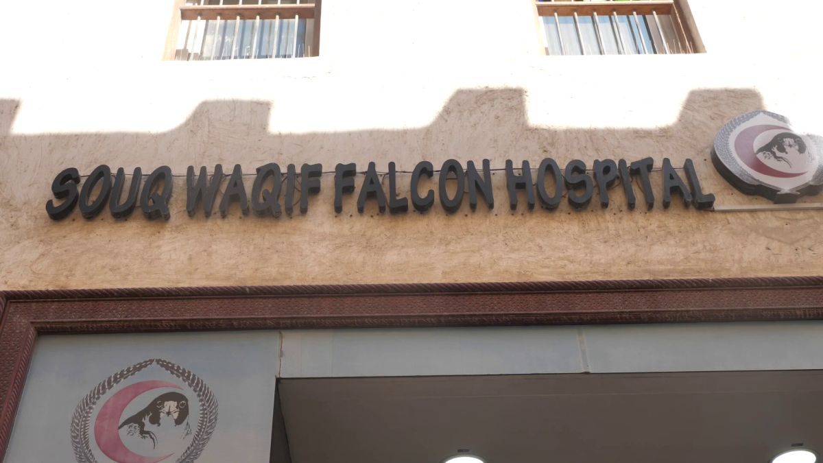 Spitalul de Șoimi din Doha arată mai bine decât spitalele de oameni din România! » Reportaj spectaculos de la trimișii speciali GSP la Mondial