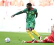 Elveția - Camerun, la Campionatul Mondial / FOTO: GettyImages