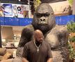 Legendarul Shaquille O'Neal, 51 de ani, a dezvăluit o poveste amuzantă cu o problemă pe care o întâmpină atunci când merge la grădina zoologică: gorilele nu îl plac deloc. Foto: Istagram Shaquille O'Neal