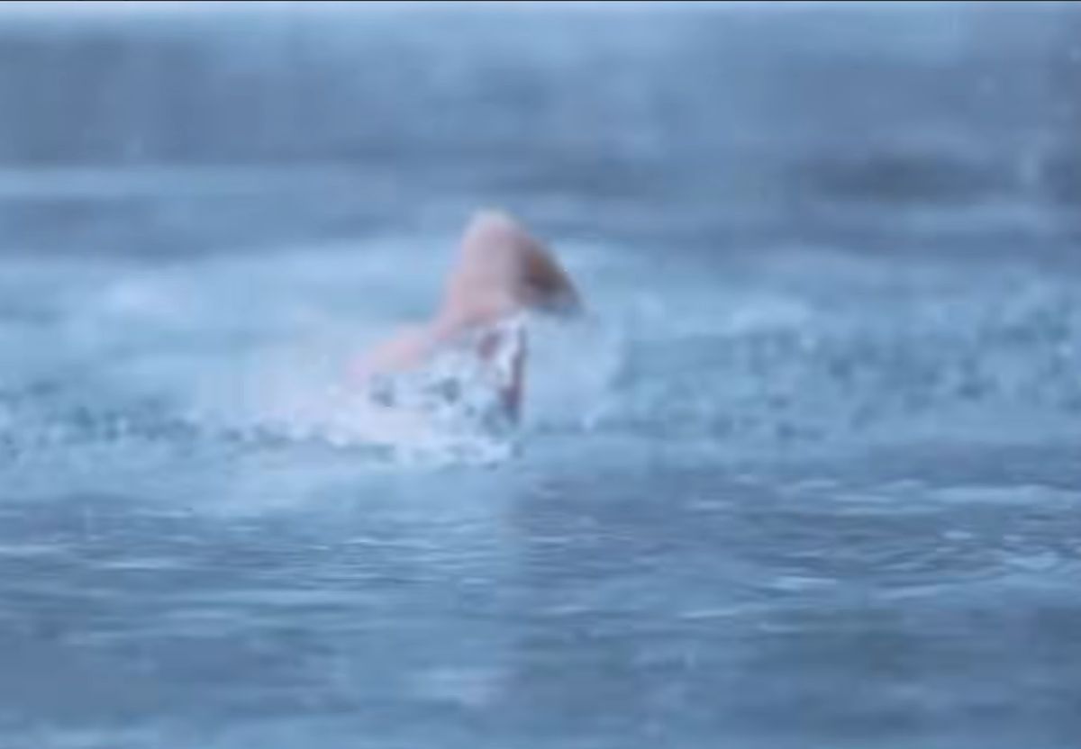 Cine este Călin Georgescu, candidatul-surpriză din turul 2 al alegerilor prezidențiale » Ce sport extrem practică