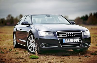 Condamnat după ce a cumpărat un Audi furat, fostul campion al României L-a găsit pe Dumnezeu: „Copilul cine îl crește?”