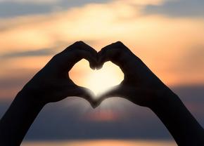 Ce flori poți oferi de Valentine Days? Vezi aici oferta celor de la Maison dOr