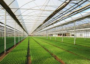 Unde găsești folie profesională solarii la prețuri imbatabile