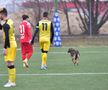 Dinamo - CSO Plopeni 1-1 » Roș-albii, aproape de un eșec în fața unei echipe din Liga 3: au egalat în prelungiri! + Un „câine”, accidentat grav: „Nu mai pot să calc!”