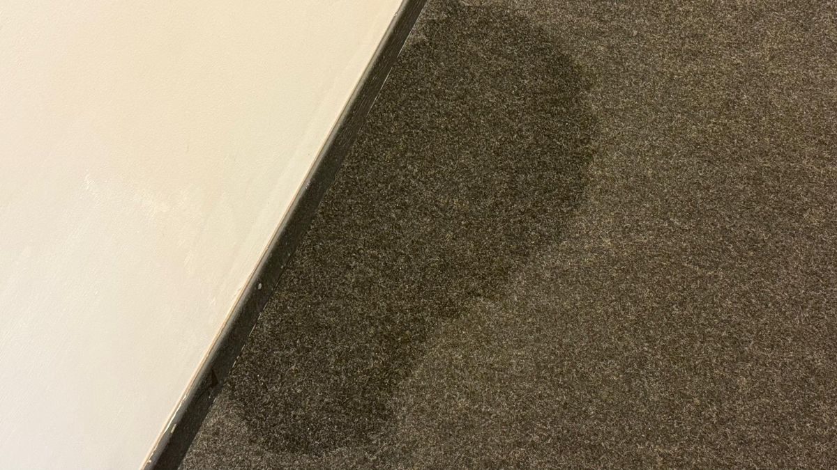 Plouă prin tavanul Arenei Naționale înainte de FCSB - CFR Cluj